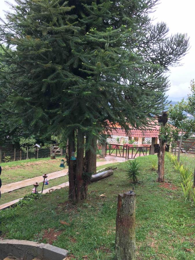 Casa De Campo Em Monte Verde , Linda Vista Para Montanhas Екстериор снимка